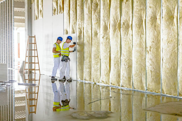 Best Blown-in Insulation in Springville, AL